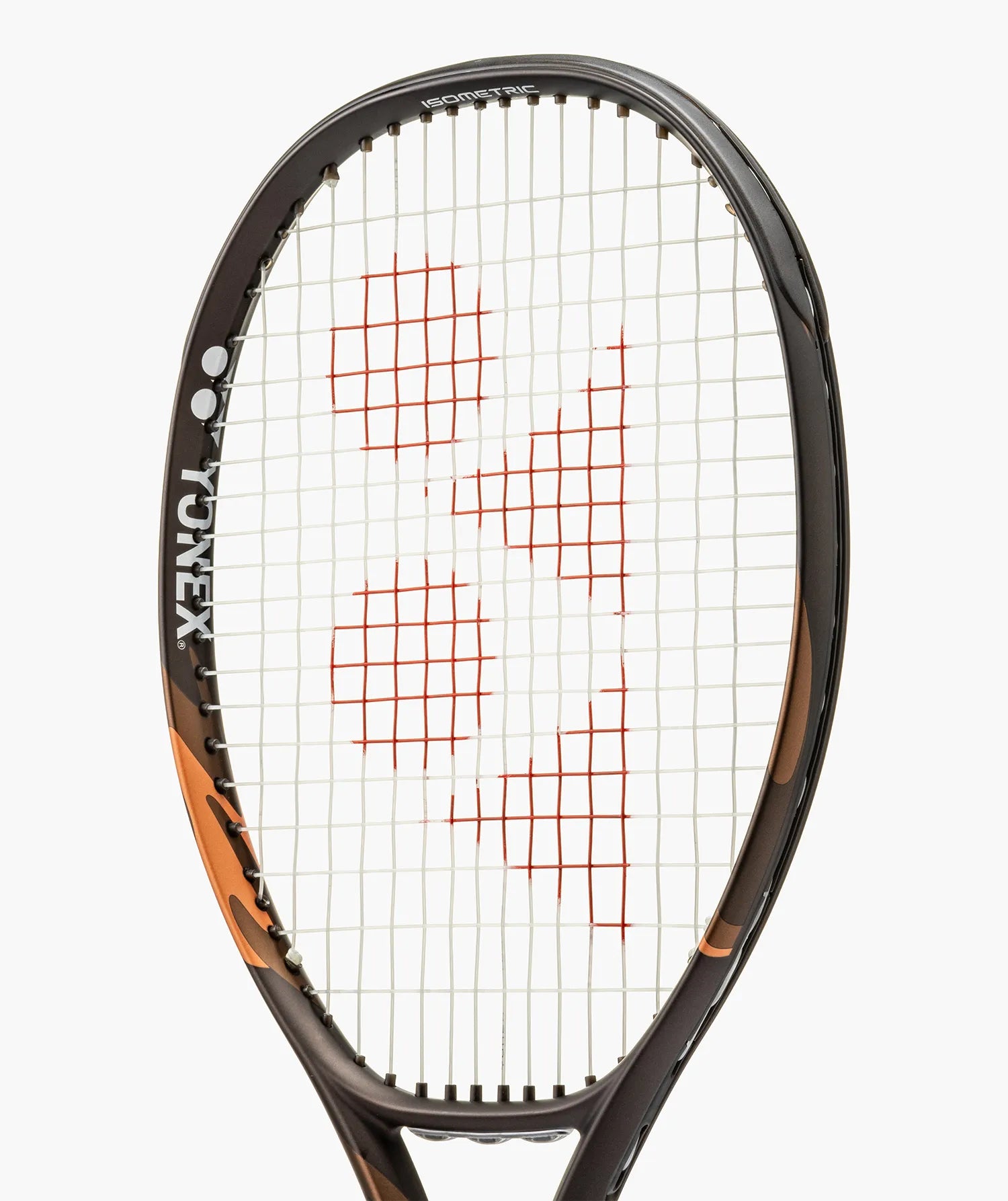 EZONE 100L